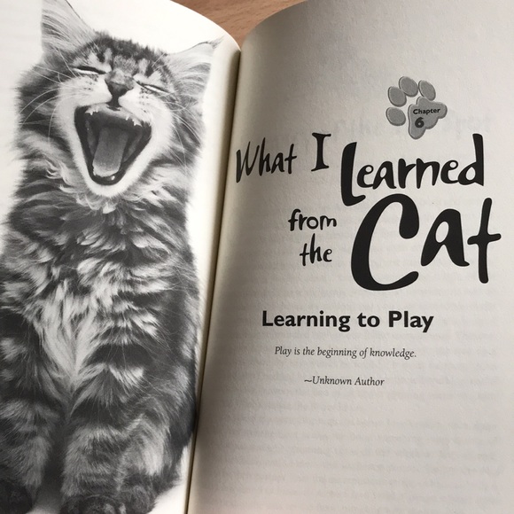 2/$10 Chicken Soup For The Soul | What I Learned From the Cat | 101 Stories - Picture 9 of 10